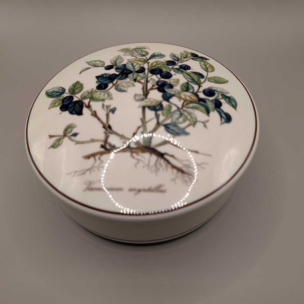 Villeroy & Boch Ceramic Box with Blue and Green Botanical Design